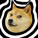 Doge_Studios22