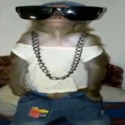I love monkey’s Roblox group icon