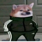 grupo de pedro :3