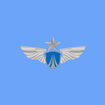 [MPS] Traffic Police
