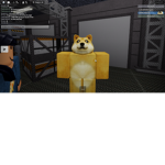 JOIN IF YOU LIKE DOGES123