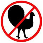 turkey defense