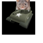 Rat 1st Airborne Divison