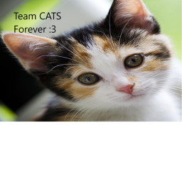 Team CATS Forever :3 Game