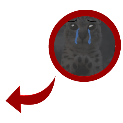 Sad Snow Leopard Hi Cat