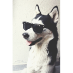 Cool People :> :P