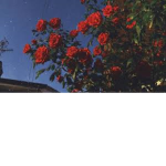 Moon home store