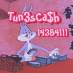 Tun3sCa$h