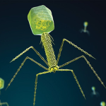 Escape.Virus