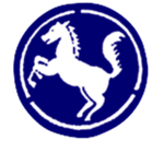 ROK. 9th Infantry Division