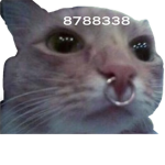 SAIL0R