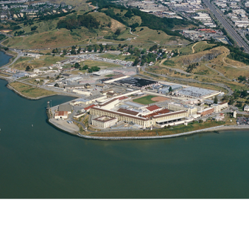 Spolied Lemon Concert