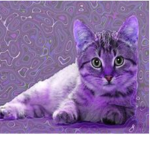 PurpleShadowKittens