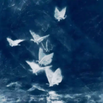 儚き夢。