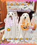 shylasclothes