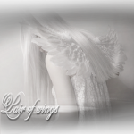 pair of wings