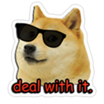 Team D0ge
