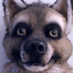Fåñtášÿ Ańīmal Rølė-Plåÿ