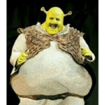 The Swamp Of Shrek