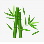Stone Bamboo Studio