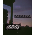 (SDS)