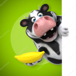 vacas banana