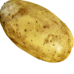 Pomidorka family
