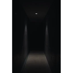 The Haunted Hallway icon