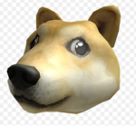 DoraTheDog