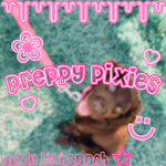 .*~preppy pixies~*.