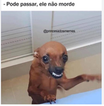 Amigos unidos já mais serão vencidos