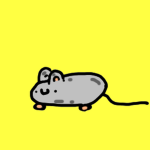 disgusting plantigrade mammals