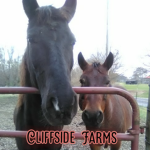 Cliffside Farms