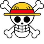 One Piece Oblivion