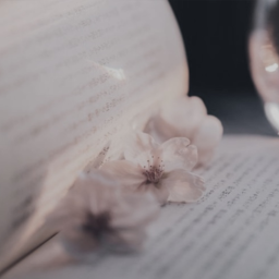 ✿