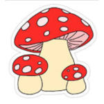 Cute Mushrooms forever