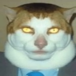 Ziggycorpdust