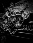 Fraxel games