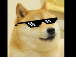Doge_Army….