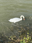 DIE MAGISCHE FEEN STUNDE