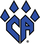 *Cheer Athletics!*