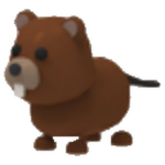 Beaver Enthusiasts