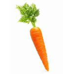 Carrote air force