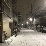 winter801