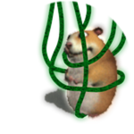 Tangled Chomik