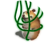Tangled Chomik