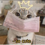 * aesthetic girls *
