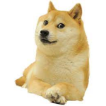 group for big memez