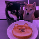 pwixels