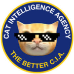 Stronk cat CIA team
